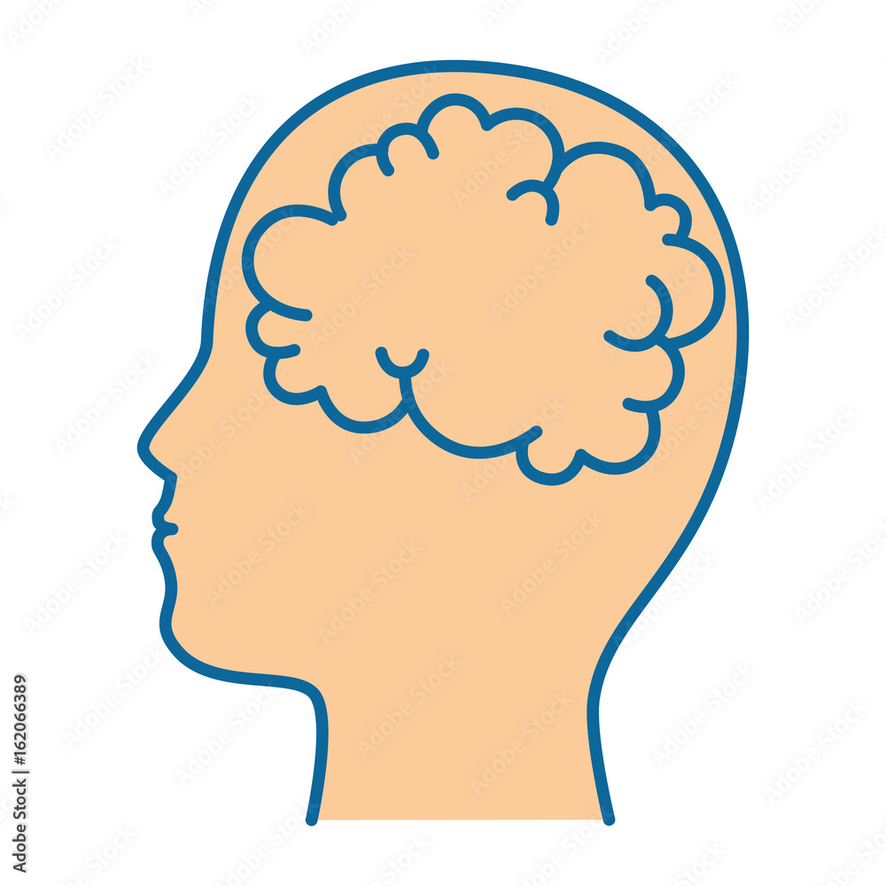 head with brain icon over white background colorful design vector illustration head with brain icon over white background colorful design vector illustration