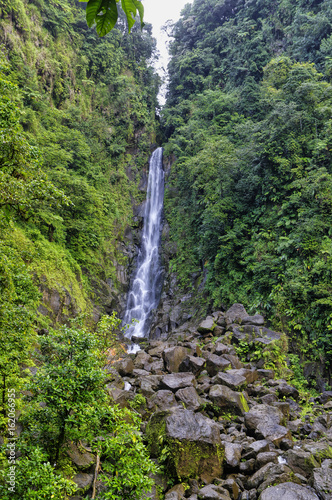 Trafalgar Falls, Morne Trois Pitons National Park (UNESCO Heritage Site), Dominica. Lesser Antilles photo