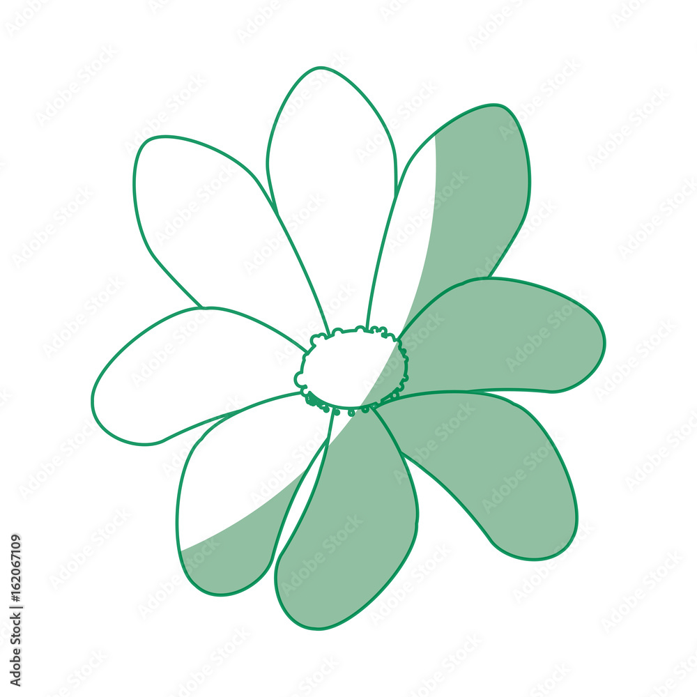 flower icon over white background vector illustration flower icon over white background vector illustration