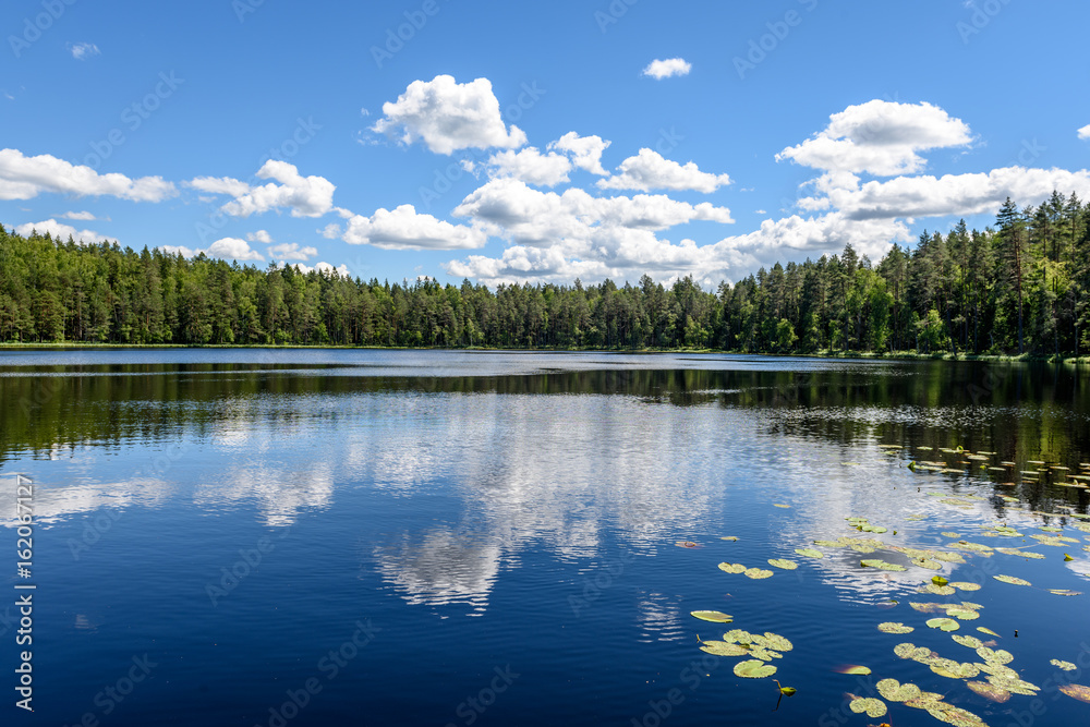 White clouds on the blue sky over forest lake