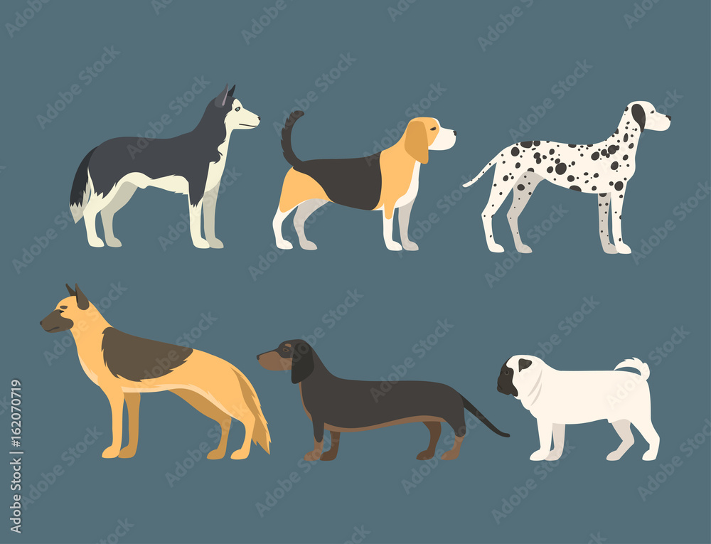 Funny cartoon dog character bread in flat style puppy pet animal doggy vector illustration.