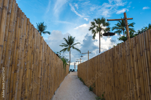 Bamboo walk way. photo