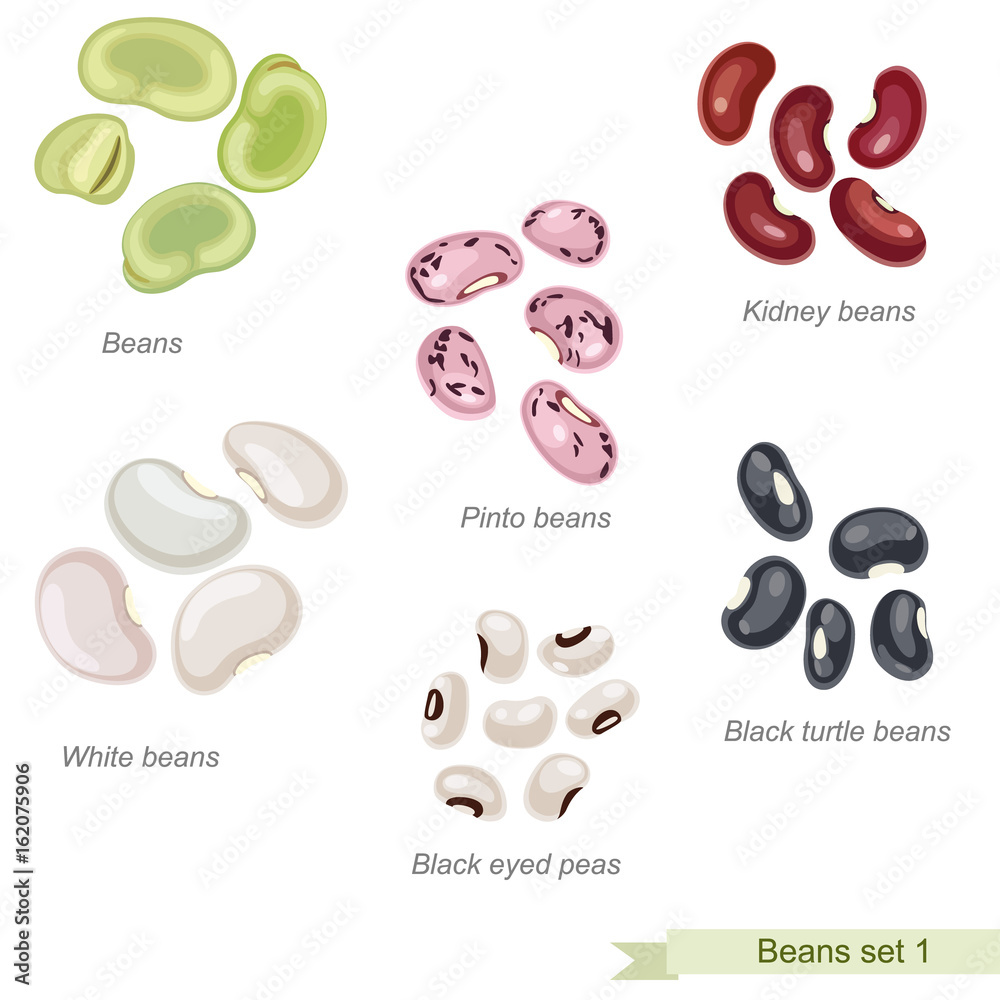 Beans and peas first icon set / Solid fill vector icons set with names