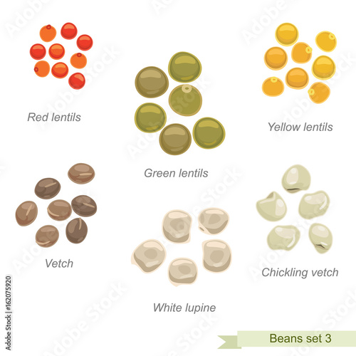 Beans and peas third icon set / Solid fill vector icons set with names
