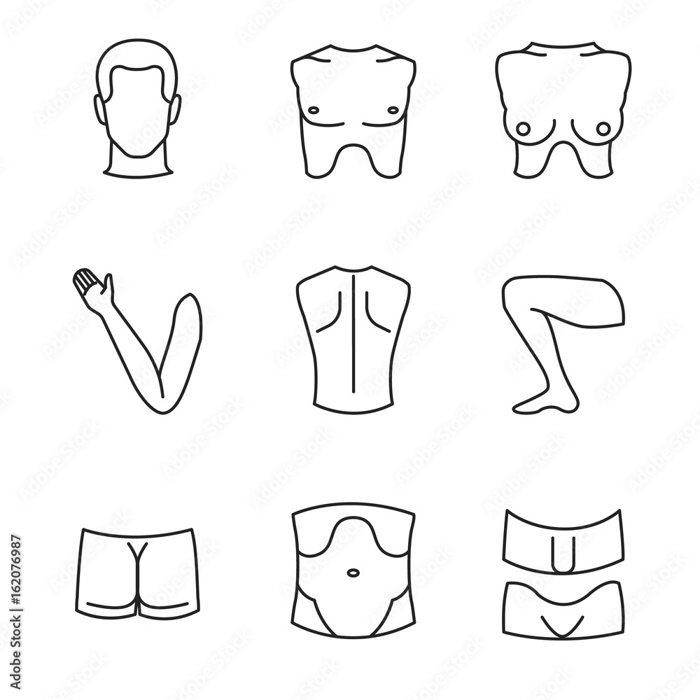 Man and woman body parts as anatomical guide / Naked man and woman body parts in line style
