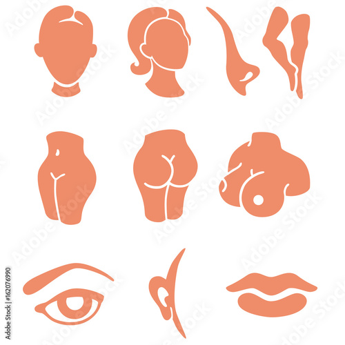 Body parts and face zones icon set