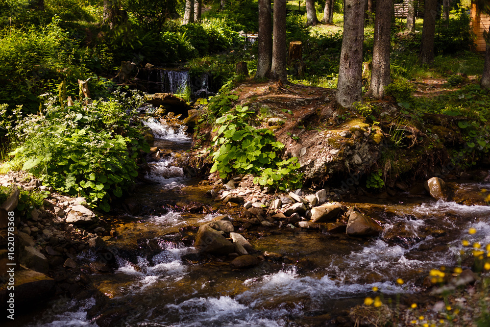 Beautiful landscape rapids on a mountains river in sunlight. Filtered image: colorful effect. Beautiful landscape rapids on a mountains river in sunlight. Filtered image: colorful effect.