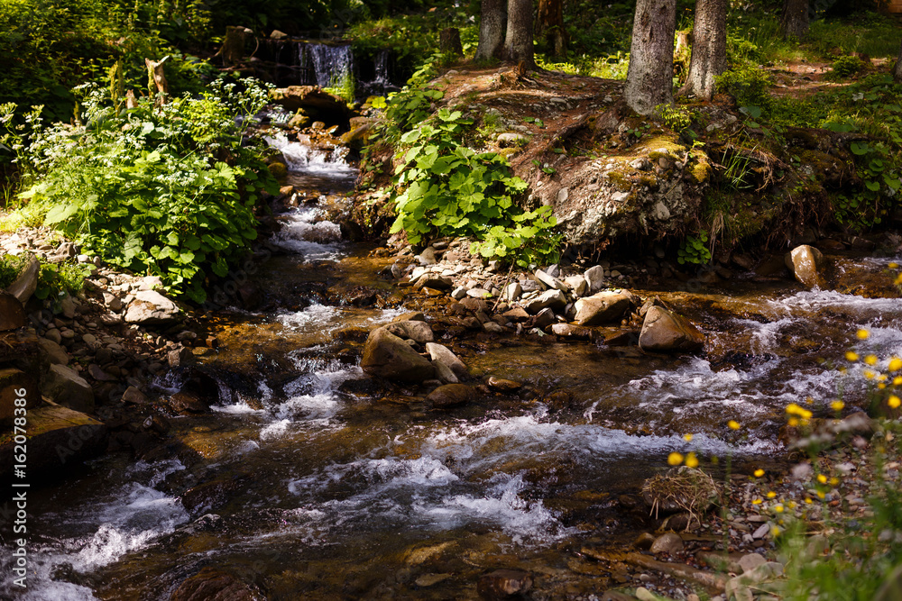 Beautiful landscape rapids on a mountains river in sunlight. Filtered image: colorful effect. Beautiful landscape rapids on a mountains river in sunlight. Filtered image: colorful effect.
