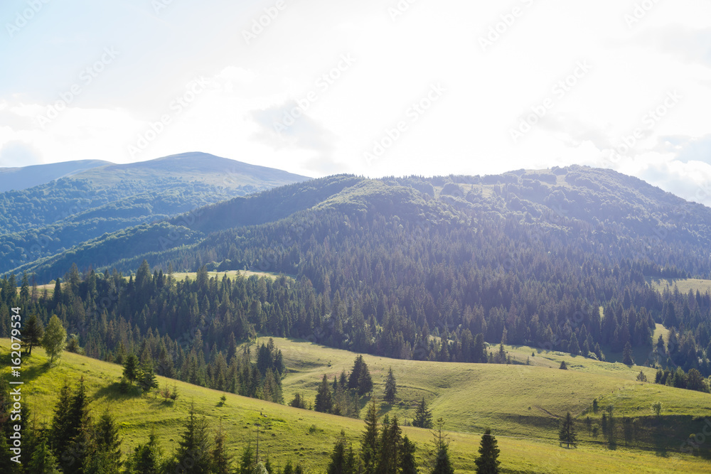 Fototapeta premium Piękny słoneczny dzień jest w górskim krajobrazie. Karpacki, Ukraina.