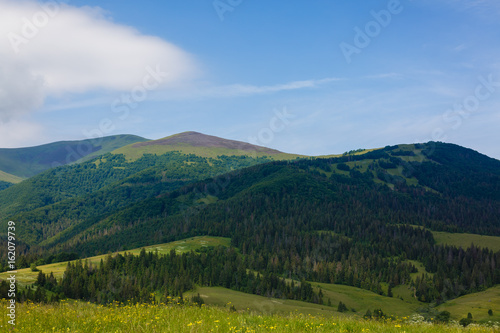 Fototapeta Naklejka Na Ścianę i Meble -  Beautiful sunny day is in mountain landscape. Carpathian, Ukraine.