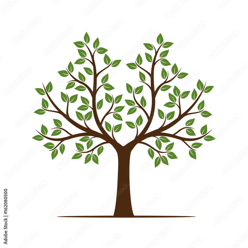 Summer Tree with Leaves. Vector Illustration.