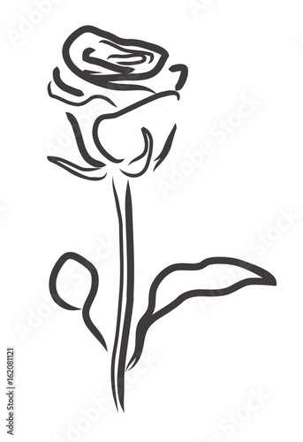 Vector rose silhouette