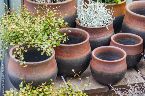 plenty of clay flower pots - empty and with plants on wooden shelf