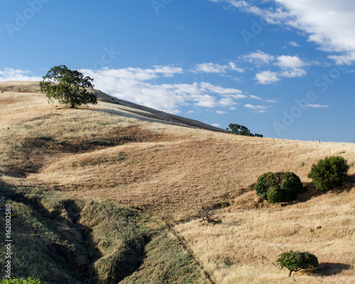 Panoramic view of the Lagoon Valley Park in Vacaville  California  USA  featuring the chaparral in the summer with golden and gree grass and oak trees