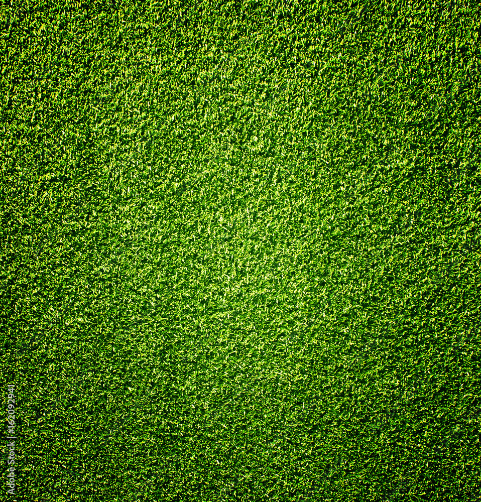 Fototapeta premium Grass
