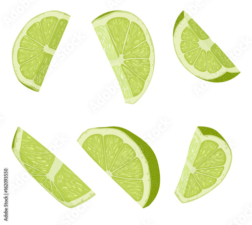 Lime slices illustration