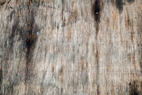  old weathered wood