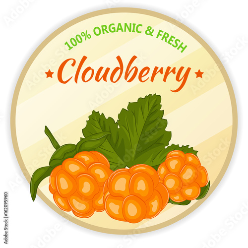 Vintage label with cloudberry isolated on white background in cartoon style. Vector illustration. Fruit and Vegetables Collection.