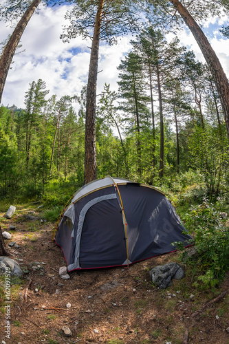 Adventures Camping and tent under the pine forest outdoor in morning and sunset. Concept Travel © Baikal360