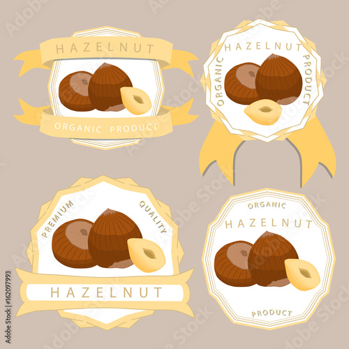 Abstract vector illustration logo whole ripe brown hazelnut nut cut sliced, product hazel background.
