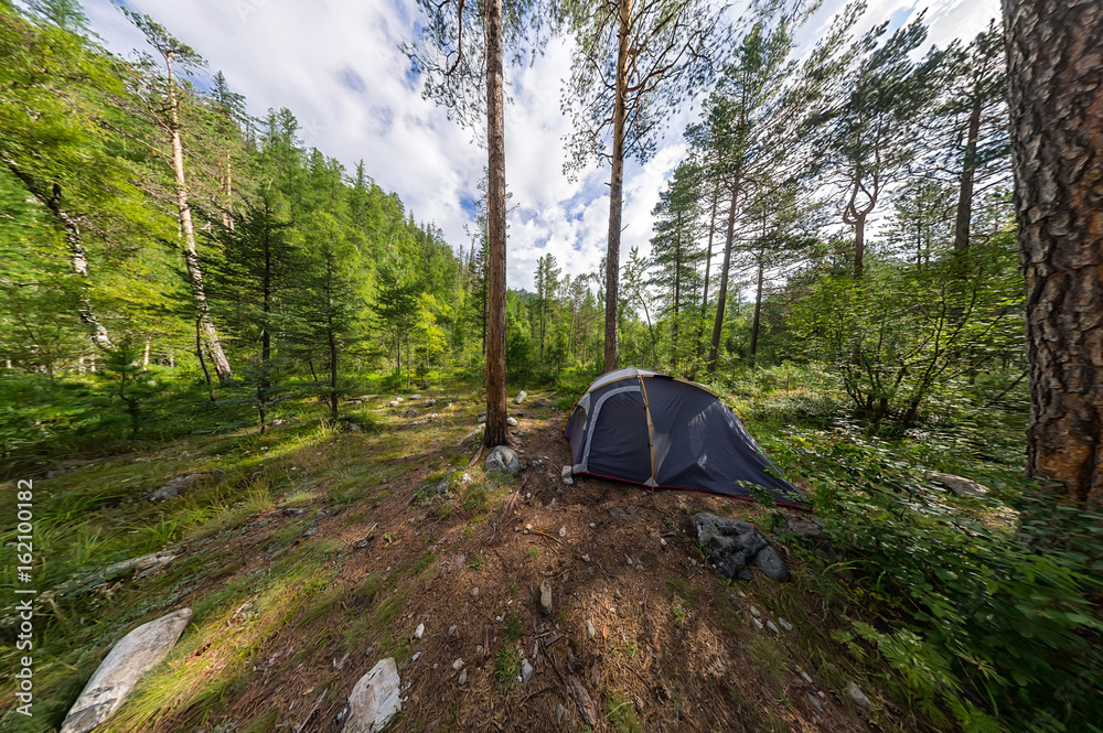Wide panorama tent on camping in the woods