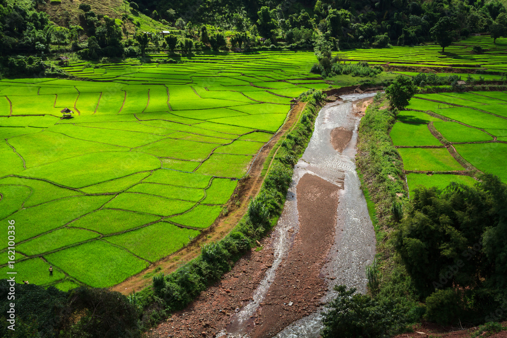 Rice Field, a beautiful natural beauty on mountain in Nan Khun Nan Rice Terraces,Nan Province, Thailand Rice Field, a beautiful natural beauty on mountain in Nan Khun Nan Rice Terraces,Nan Province, Thailand