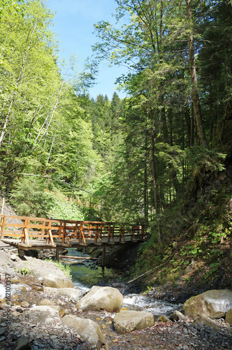 A bridge over a mountain river in the Ukrainian Carpathians. Bridge over the river