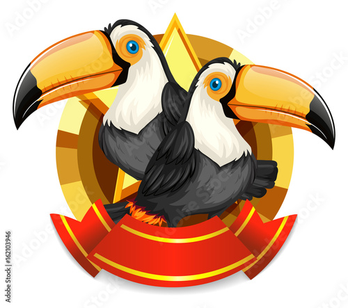 Banner design with two toucan birds