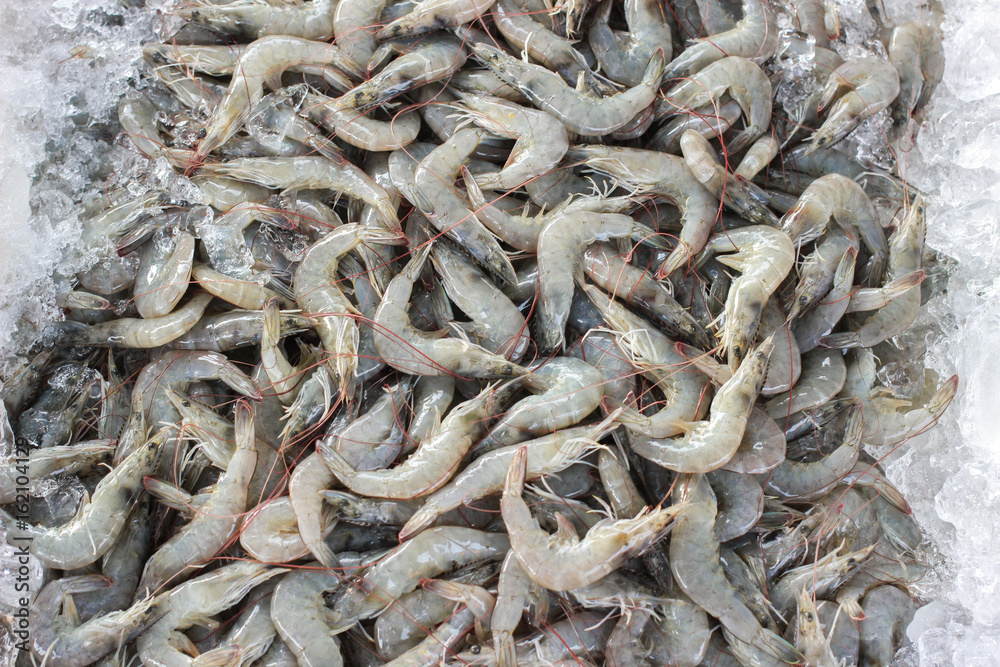 Fresh shrimps on ice  in seafood market, Thailand.