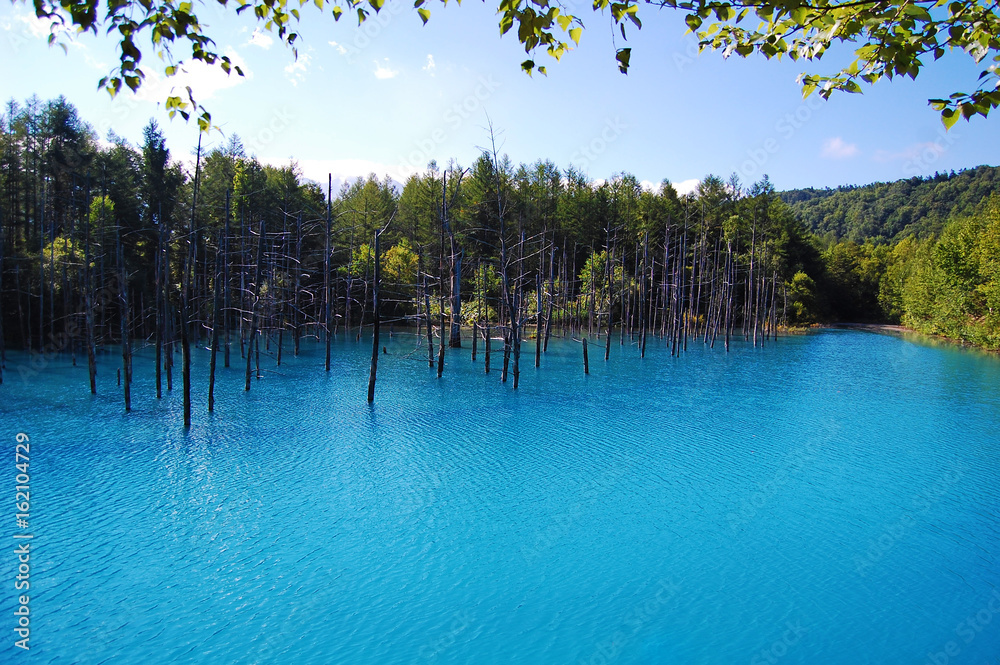 北海道旅行　美瑛青の池