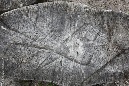 Old wooden stump with veins