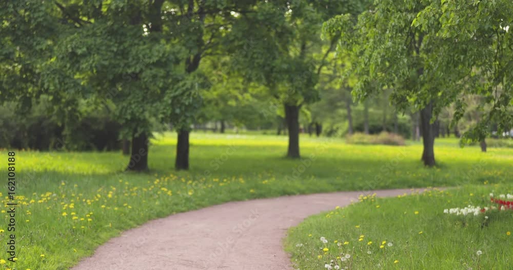 slow motion of empty park path in summer day