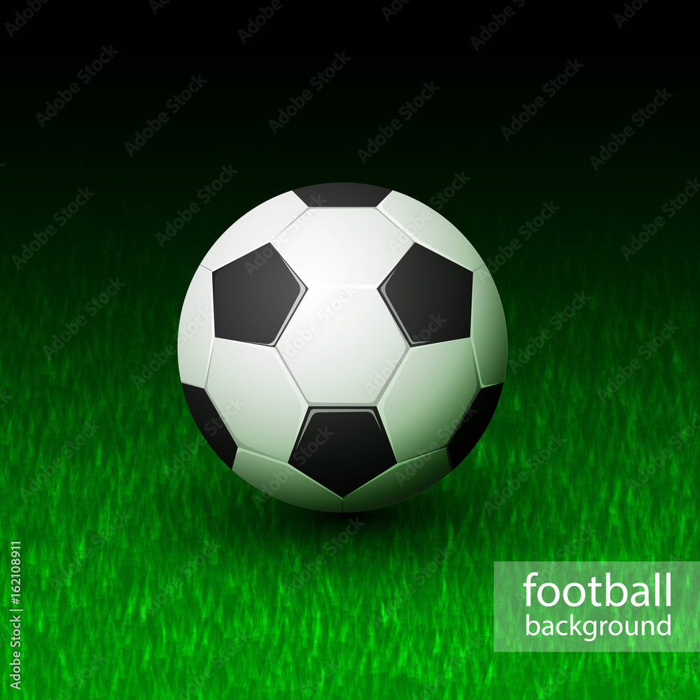 Vector realistic soccer ball on field grass