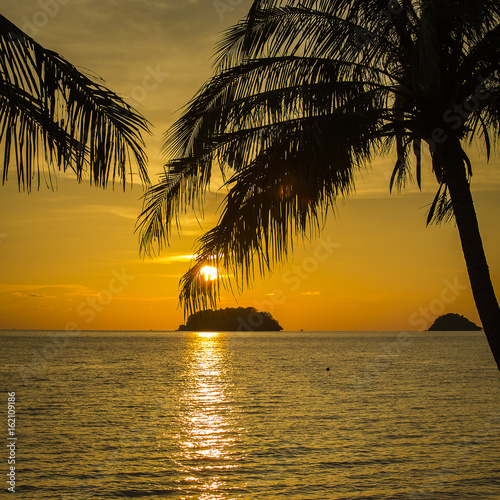 Palm trees silhouette at sunset Thailand