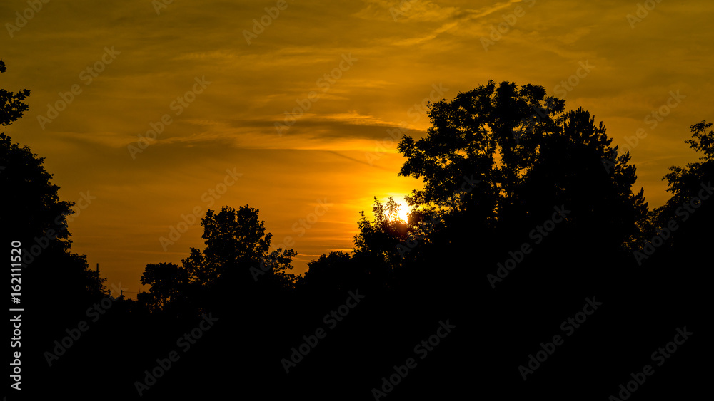 Sunset with forest silhouette