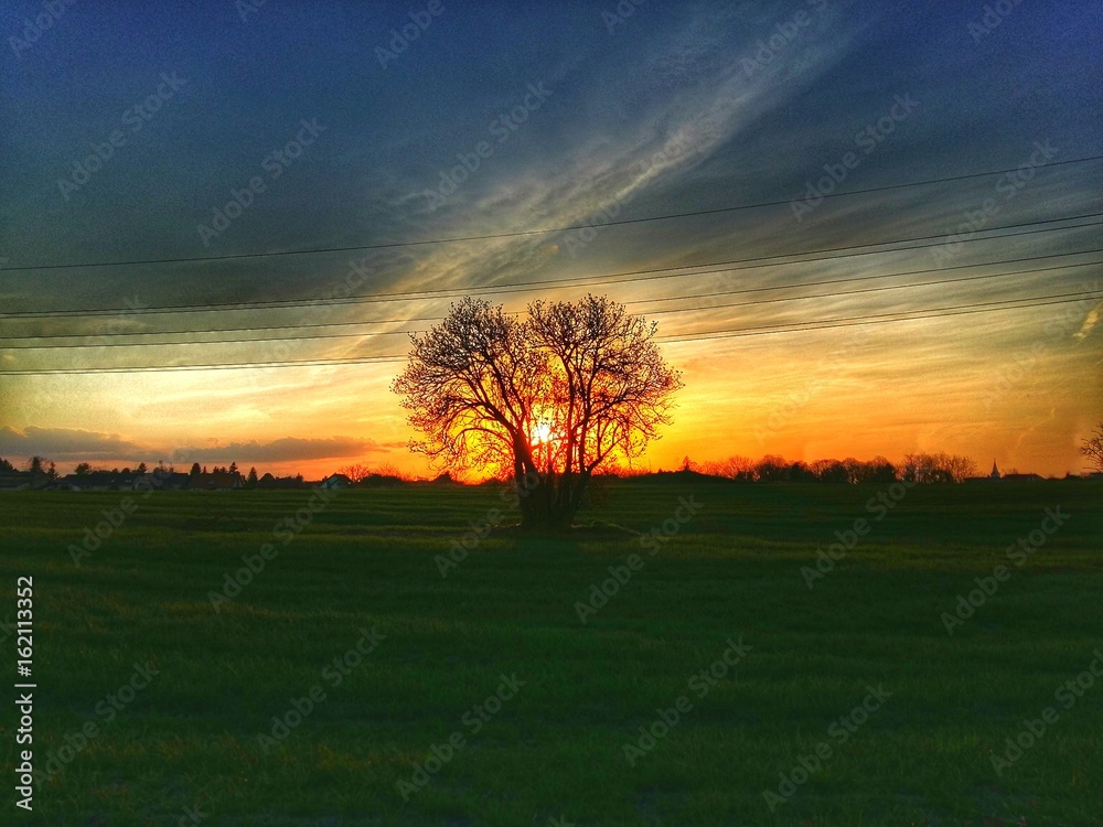 tree sunset sunrise sun sky landscape cloud ground background beauty dark hope tree sunset sunrise sun sky landscape cloud ground background beauty dark hope