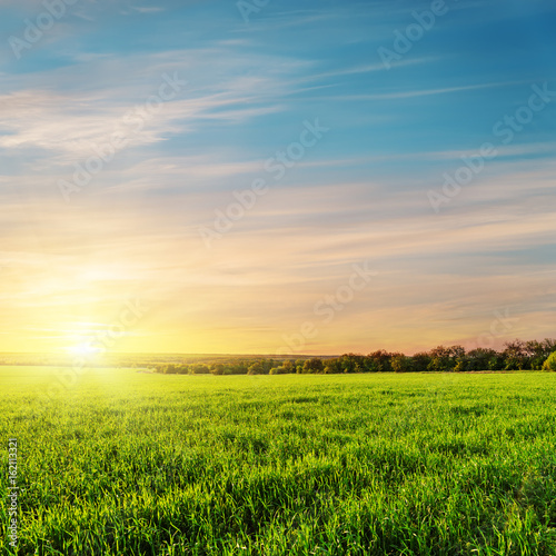 colored sunset over green grass field