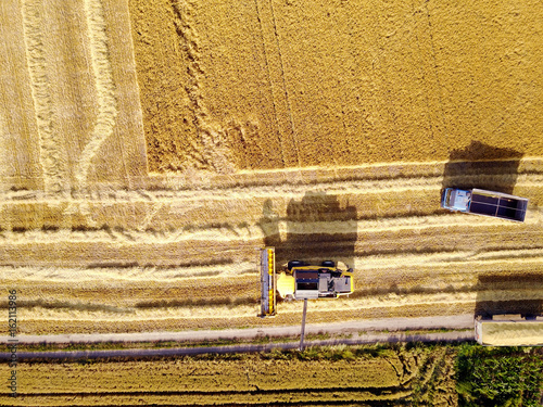 Harvester loading trailer with wheat. Aerial shot of farmers working on the wheat field with machinery.