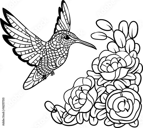 Wallpaper Mural Hummingbird antistress. Picture for zentangle colorings. Vector illustration EPS 10. Torontodigital.ca