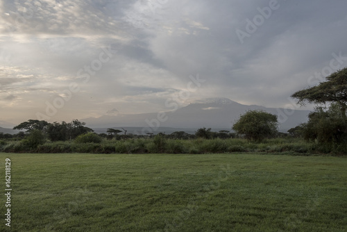 Green savannah in front of Kilimanjaro