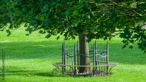 Round metallic bench circling tree trunk
