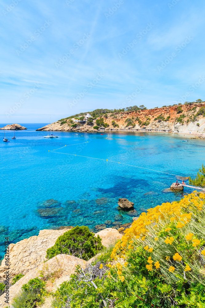 View of Cala d'Hort beach with beautiful azure blue sea water and yellow spring flowers in foreground, Ibiza island, Spain View of Cala d'Hort beach with beautiful azure blue sea water and yellow spring flowers in foreground, Ibiza island, Spain