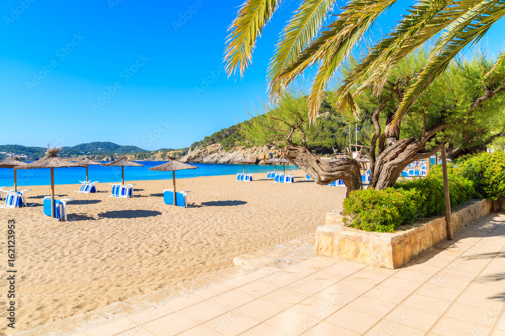 Sandy beach with umbrellas and sunbeds in Cala San Vicente bay on sunny summer day, Ibiza island, Spain