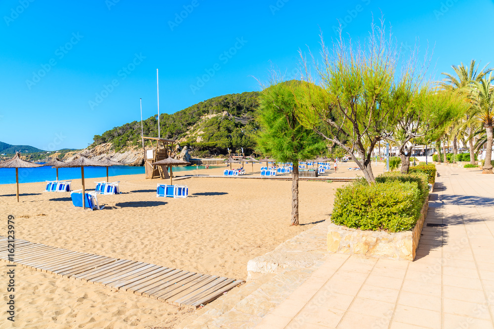 Naklejka premium Sandy beach with umbrellas and sunbeds in Cala San Vicente bay on sunny summer day, Ibiza island, Spain