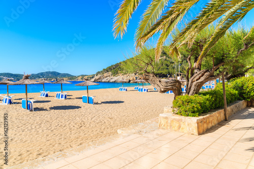 Fototapeta Naklejka Na Ścianę i Meble -  Sandy beach with umbrellas and sunbeds in Cala San Vicente bay on sunny summer day, Ibiza island, Spain