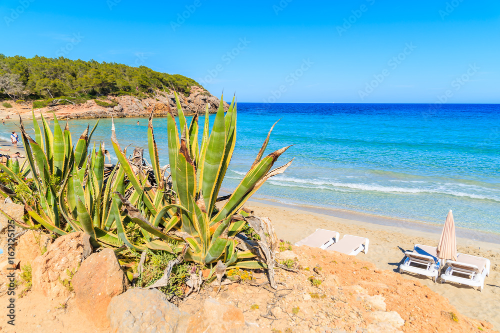 View of Cala Nova beach on sunny summer day, Ibiza island, Spain