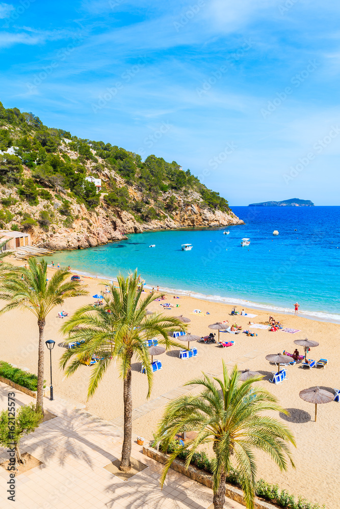 View of sandy beach with palm trees in Cala San Vicente bay, Ibiza island, Spain