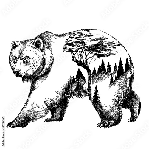 Vector bear double exposure tattoo art. Canada. Mountains, compass. Brown bear Bear grizzly silhouette t-shirt design Tourism symbol, adventure, great outdoor.