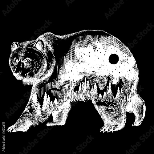 Vector bear double exposure tattoo art. Canada. Mountains, compass. Brown bear Bear grizzly silhouette t-shirt design Tourism symbol, adventure, great outdoor.