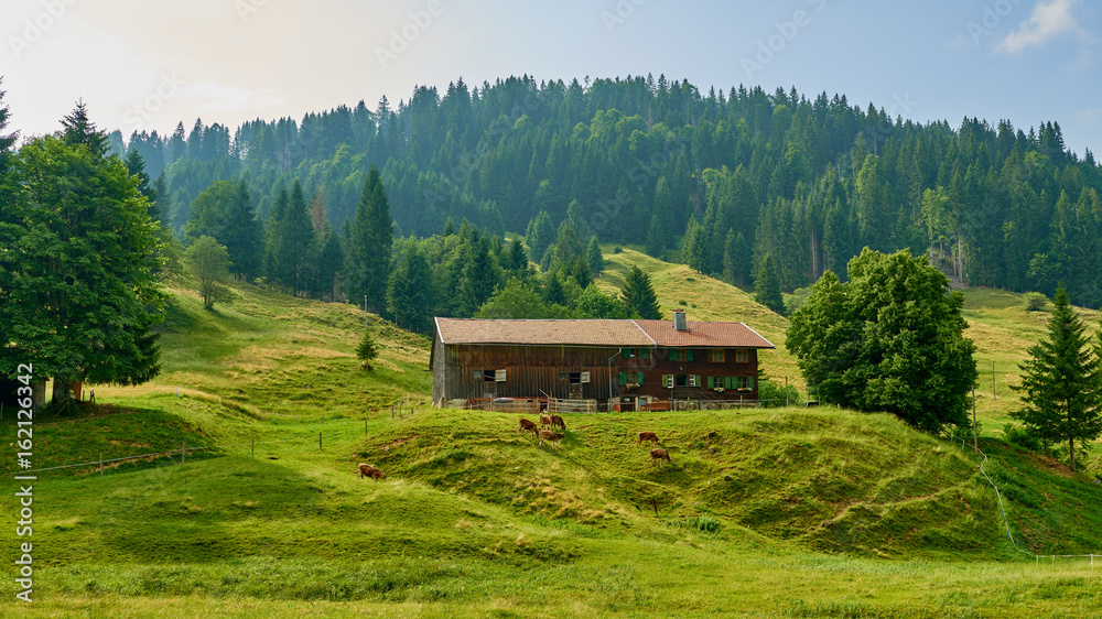 Bergbauernhof - Bauernhof mit Kühen in den Allgäuer Alpen, Gunzesried, Bayern